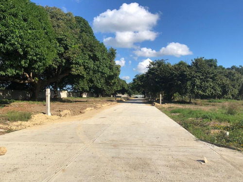 Venta De Lotes Frente Al Rio Juana Moza Tuxpan Veracruz