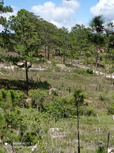 Imagen 3 de 10 de Lote Para Casa De Campo
