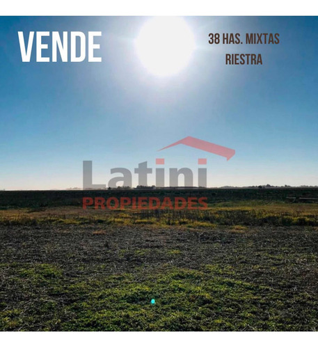 Imagen 6 de 6 de Campo 38 Ha. Mixto