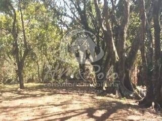 Imagem 27 de 30 de Chácara À Venda Em Nova Suiça 2 - Ch000833