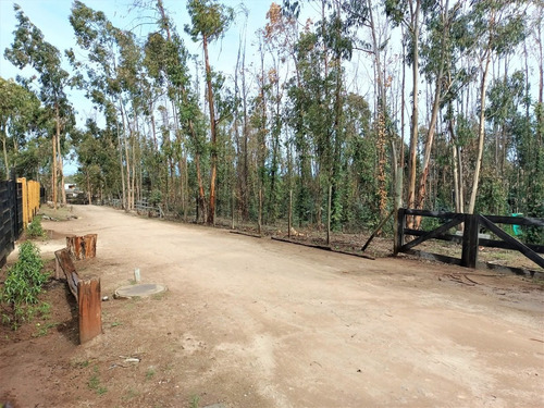 Imagen 2 de 9 de Maitencillo, Sitio En Condominio Con Excelente Plusvalía