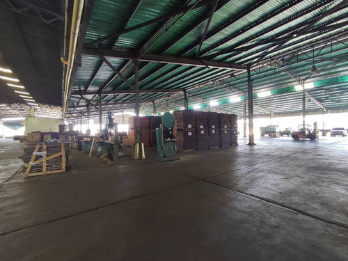 Se Vende Galpòn En La Zona Industrial El Nepe, Municipio Guacara A 500 M De Ciudad Traki. - Ivlp