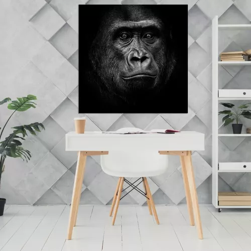 Quadro Decorativo Canvas Moldura Macaco - Branco - 70x70