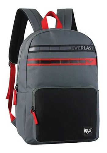 Mochila Hombre Mujer Urbana Air Mesh Acolchada Everlast