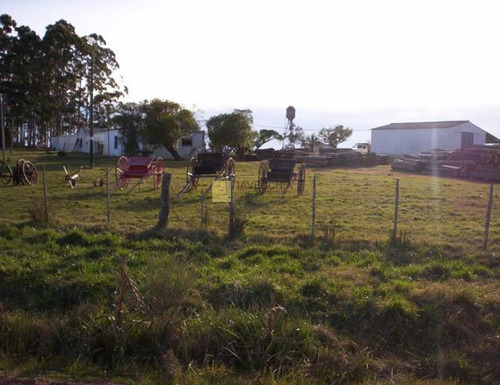 Imagen 2 de 13 de Venta De Chacra De 3has En Ruta 12