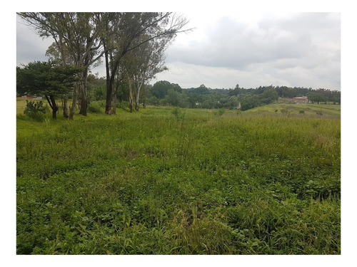 Imagen 3 de 3 de Terreno En Venta Santiago Cuautlalpan