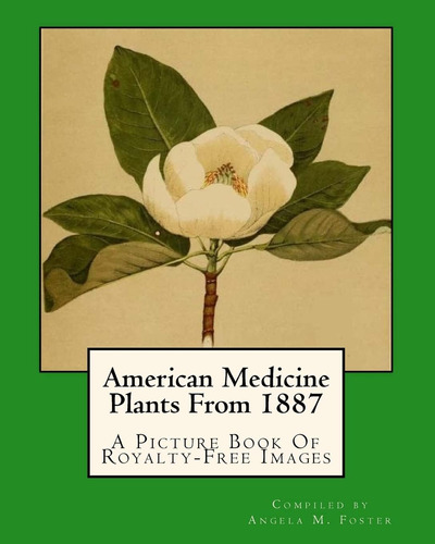 Libro: En Ingles American Medicine Plants From 1887 A Pictu