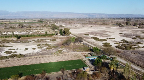 Venta Terrenos Publicos 500 M2 C/u. Angaco