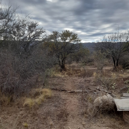 Lote De 1 Hectárea Con Construcción A Terminar En Río Gomez