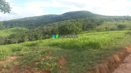 Imagem 11 de 15 de Fazenda - Zona Rural - Ref: 4269 - V-mta4269