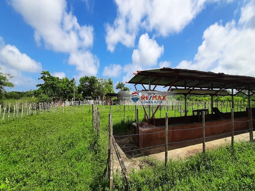Se Vende Acogedora Posada Agroturistica En Sector Las Lapas Tucacas