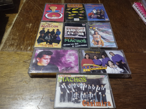 9 Casettes Grupos De Onda Grupera Modelo Machos Halcón (Usado)
