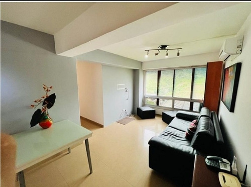 Imagen 4 de 12 de Apartamento En Venta En Miravila