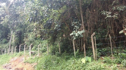 Imagem 2 de 2 de Venda Chácara Itapecerica Da Serra - Vi136