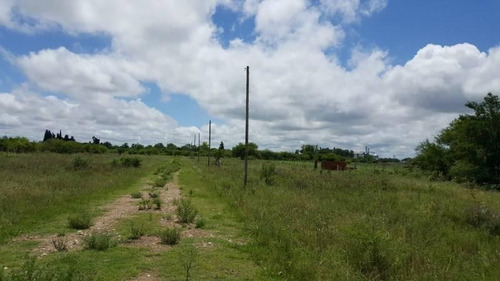 Imagen 1 de 6 de 6 Lotes Contiguos En Zona La Sibila