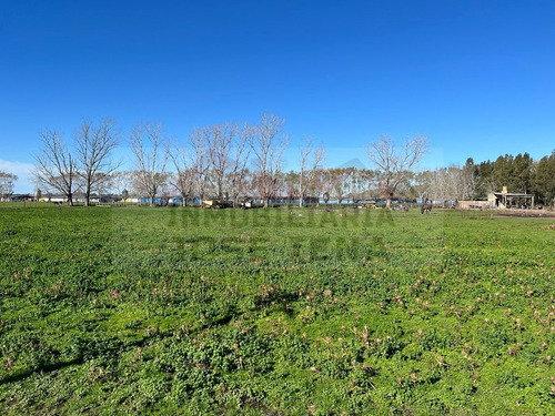 Parcela / Quinta / Chacra / Lote De 1 Ha. (10.000 M2) En Venta. Excelente Ubicación De General Belgrano. Zona De Calle 111 Y 178, Sociedad Rural.