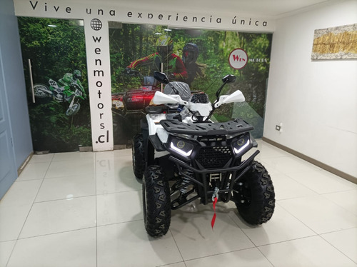 Imagen 7 de 8 de Atv 249cc Modelo Hunter