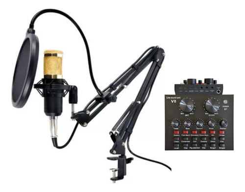 Microfone Profissional Condensador Com Tripé Mesa V8 Estudio