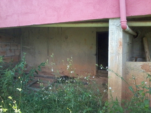 Imagem 8 de 8 de Predio - Tijuco - Ref: 36355 - V-36355