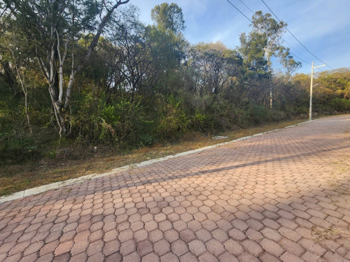 Venta Lote Gladiola 36 En Nueva Zona Del Fraccionamiento Muy Cerca De La Entrada Con Vistas Panorámicas, Poryecto Incluído En Rancho San Diego Ixtapan De La Sal Edomex