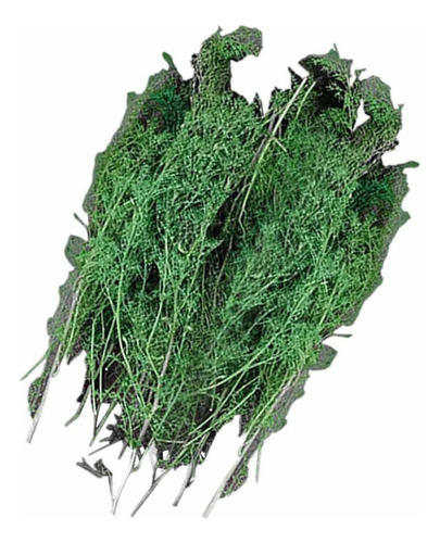 Material De Maqueta De Árboles En Miniatura 1/48 Con Paisaje