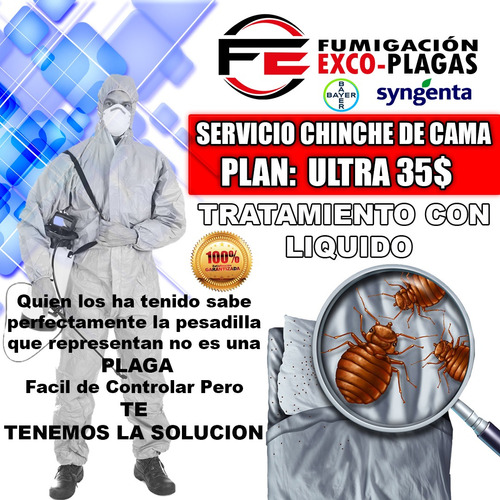 Servicio De Fumigacion Contra Chinche De Cama