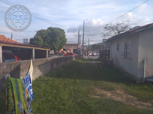 Imagem 13 de 15 de Terreno Comercial - Campeche - Ref: 1693 - V-1730