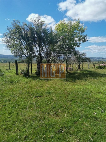 Imagen 4 de 8 de Vista Increíble , Sin Fronteras .