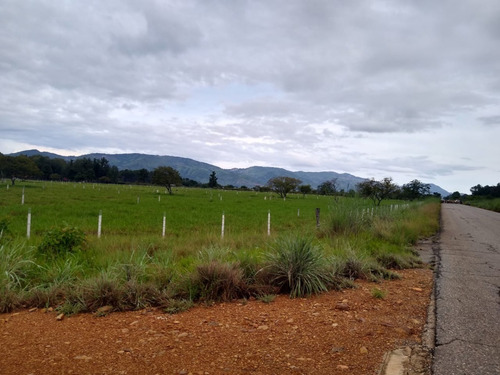 Imagen 9 de 27 de Finca En Venta En La Raya San Timoteo, Zulia
