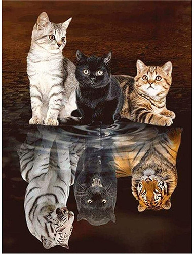 Kit De Pintura Con Diamantes 5d Gatos Reflejo 30x40 Cm