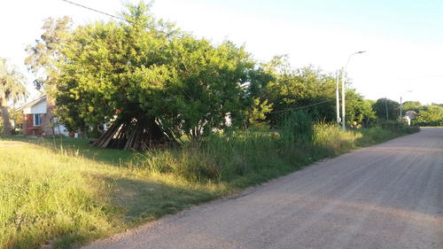 Imagen 19 de 19 de Chalet Y 4 Casas Alquiladas En Sauce Canelones
