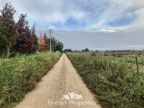 Sitio Plano De 5.000 M2 En Venta En Campo Purísima, Talca, 