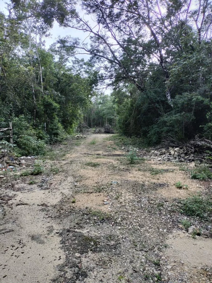 Terrenos Residenciales En Venta En Tulum Con Financiamiento Y Comodas Mensualidades, Perfecto Para Airbnb O La Casa De Tus Sueños Rodeada De Naturaleza.