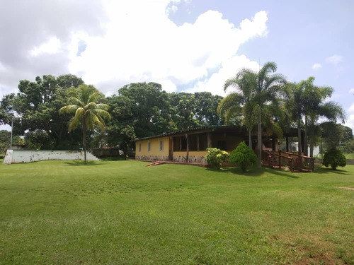 Imagen 22 de 29 de Rosaura Cortez Vende Finca En Sabana Del Medio - Barrera