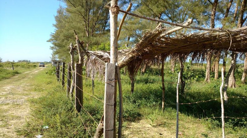 Venta Lotes 400 M² Playa Sur Tamiahua Veracruz