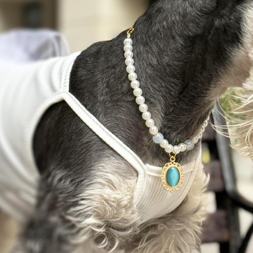 Collar De Gato Con Perlas Teumessian, Collares Ajustables De