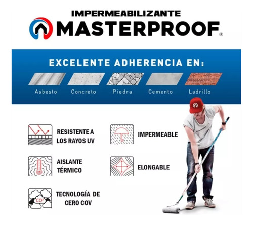 Impermeabilizante Masterproof 10 Años 19 Lts. Gris, Caucho