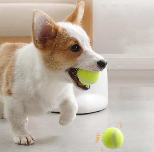 Lançador Automático De Bola Para Cachorro 3 6 9 Metros Pet