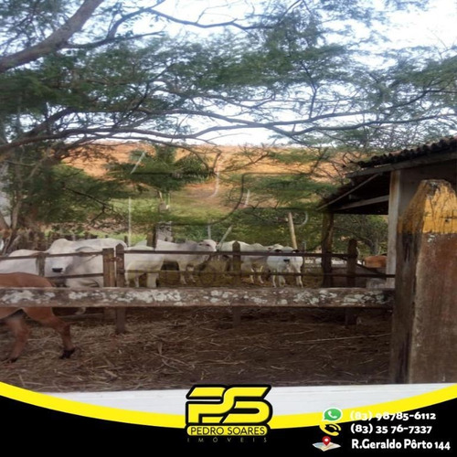 Chácara À Venda, 100000 M² Por R$ 700.000 - Zona Rural - Pirpirituba/pb - Ch0005