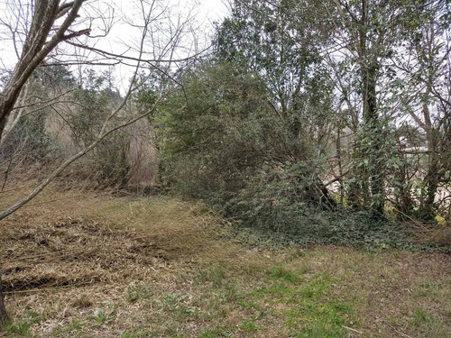 Imagen 8 de 13 de Terreno En Venta En Huerta Grande