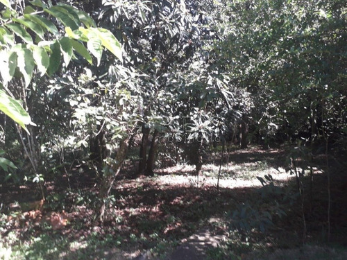 Imagem 2 de 15 de Venda Chacara -linda Chacara Com Pomar, Campo De Futebol- Mogi Das Cruzes - V-2842
