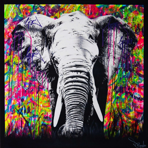 Cuadro Elefante Selva León Mural De Colores 50x50 T. Canvas