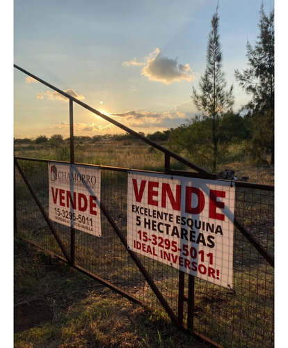 Excelente 5 Hectáreas En Esquina Con 2 Casas Y Galpones