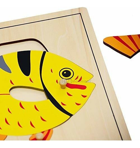 Material didáctico Pré-escolar Elite Montessori Fish Puzzle