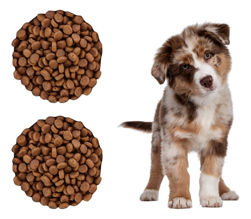 Croqueta Cachorro Royal Canin 30 Kg + Regalo