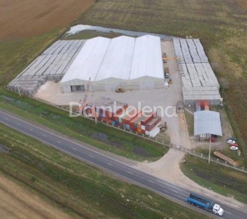 Imagen 4 de 22 de Terreno En Venta Ubicado En Alvear, Rosario, Santa Fe