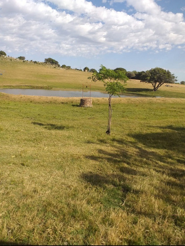 Hermoso Campo En Las Sierras De Carape