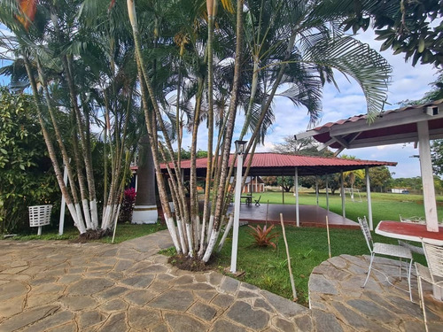 Imagen 5 de 13 de En Venta Finca, En Sabana Del Medio, Barrera