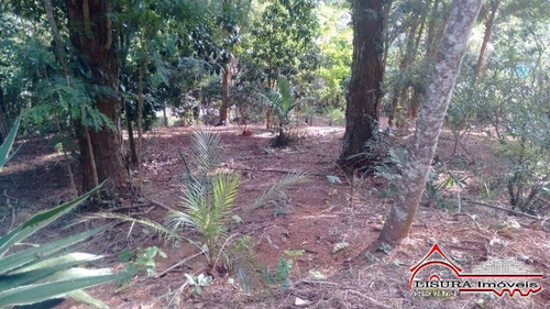 Imagem 3 de 15 de Terreno Bom Para Chacara Rodovia Dom Pedro - 6324