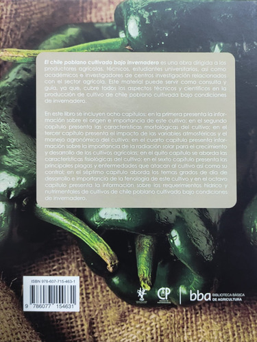 Chile Poblano Cultivado Bajo Invernadero Colpos